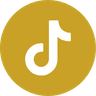 Tiktok Logo
